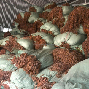 สาหร่ายทะเลสีน้ำตาลแห้งธรรมชาติ (บริสุทธิ์ 100%) จากเวียดนาม สำหรับปุ๋ยอินทรีย์และอาหารเสริม - Product Image 5