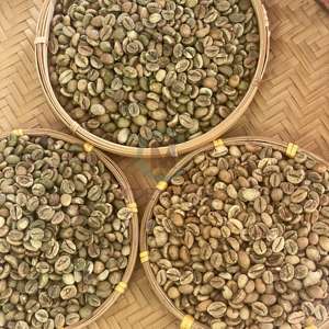 Granos de Café Verde Robusta de Grado de Exportación con 90% de Pureza, Calibre 18, Materia Prima Cruda de Baja Coloración Negra para Tostar, Nueva Cosecha, Granja de Vietnam - Product Image 6