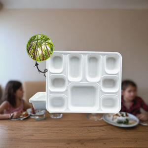 Plateau de service écologique à 9 compartiments en bagasse de canne à sucre, biodégradable, lot de 50 pour la restauration, assiettes carrées - Product Image 4