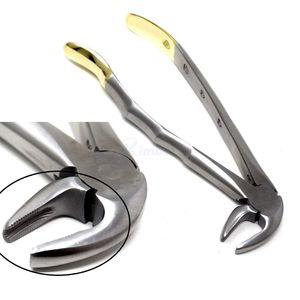Pinzas de Extracción Dental de Acero Inoxidable Anguladas, Instrumento de Cirugía Oral de Precisión, Extractor Dental Profesional - Product Image 1