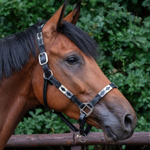 สายจูงม้าหนังโปโลคุณภาพสูงสั่งทำสีและขนาดได้ อุปกรณ์กีฬาสำหรับม้า - Product Image 3