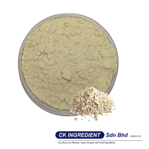 Premium High Quality Oatmilk Powder Base Halal OEM B2B <b>Best</b> Supplier Guarantee Top Sale Vegan Milk Alternative Lactose Free - Product Image 2