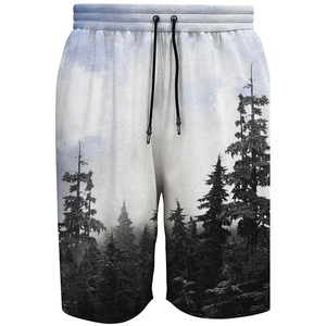 Shorts de bain décontractés pour hommes, taille haute, avec cordon de serrage, séchage rapide, respirants, en toile polyester/coton, imprimé numérique, légers – Meilleures ventes - Product Image 1