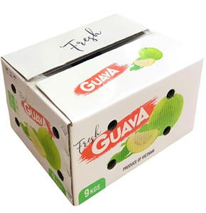 OEM 5-Layer Printed Offset Recycled Paper Self Erecting <b>Boxes</b> for Fruit Packaging Air Sea Express Shipping Agriculture Use - Product Image 6