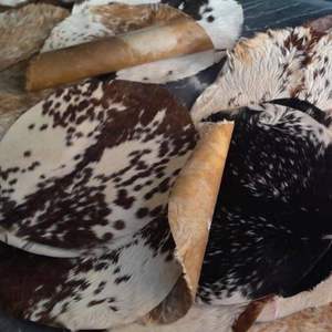 หนังสัตว์ธรรมชาติที่ทำจากหนังควายหรือหนังแพะ ใช้สำหรับกลองหลากหลายประเภท เช่น บองโก คองกา และเจมเบ - Product Image 3