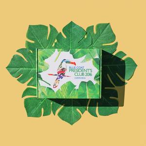 กล่องสบู่กระดาษแข็งพิมพ์ลายแบบกำหนดเองสุดหรู ดีไซน์โค้งมนพิเศษ เคลือบด้านพรีเมียม พร้อมโลโก้ สำหรับผลิตภัณฑ์ดูแลส่วนบุคคล เทียนหอม และกล่องของขวัญ - Product Image 4