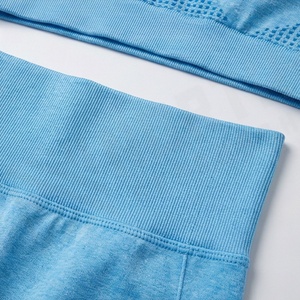 Conjunto de yoga sin costuras para mujer, dos piezas, sujetador deportivo con leggings para gimnasio, correr, actividades atléticas, entrenamiento, fitness, ropa deportiva. - Product Image 5