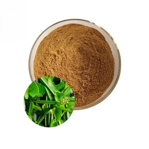 Extrait de Cissus Quadrangularis 100% naturel 10:1 en poudre, qualité alimentaire, poudre de Cissus Quadrangularis en vrac, provenance d'Inde - Product Image 3