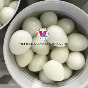 Huevos de Codorniz Enlatados Premium |   Calidad de Exportación |   Vietnam - Product Image 2