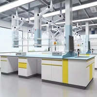 Sistema de Mobiliario de Laboratorio de Acero Pintado, Banco Central de Laboratorio con Gabinetes Metálicos para Laboratorios de Química