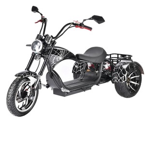 2026 60V 3000W Tricycle électrique de transport à trois roues avec batterie 30Ah, longue autonomie et pneus larges - Product Image 6