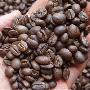 กาแฟโรบัสต้าออร์แกนิกเวียดนาม คั่วบด เกรด AA+ แบล็คบร็อคเกน 0.1% คุณภาพสูง ได้รับการรับรองมาตรฐาน ISO 22000 แบรนด์ TNFOOD - Product Image 1