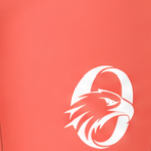 Pantalones Cortos Deportivos de Fútbol Coral, Uniformes Deportivos, Ropa de Entrenamiento de Equipo, Ropa Deportiva Personalizada, Ropa de Alto Rendimiento - Product Image 4