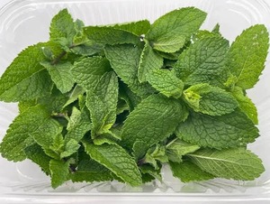 Feuilles de menthe verte naturelle séchées, ingrédient pour tisanes et mélanges de boissons rafraîchissantes, et usage alimentaire - Product Image 3