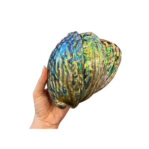 Vietnam Natural <b>Abalone</b> <b>Shell</b> Pieces for Jewelry Inlay Crafting Decorative Objects Mosaic Art Home Decor and Gift Making - Product Image 3