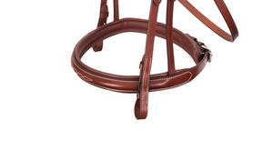 Brida para Caballo de Cuero Genuino al por Mayor - Cuero Vacuno Acolchado Suave de Alta Calidad, Tamaño y Logotipo Personalizables para Uso Ecuestre - Product Image 5