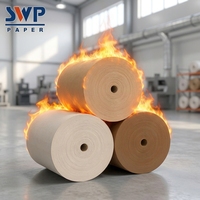 Papier kraft ignifuge B1 enduit de résine double face, haute résistance à la traction pour la construction et l'emballage industriel