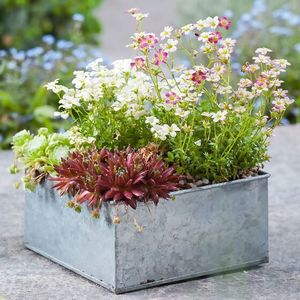 Maceta Elíptica de Acero Galvanizado de Alta Resistencia para Interiores y Exteriores con Capacidad Personalizable para Jardín y Hogar - Product Image 4
