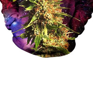 Sweat-shirts pour hommes à sublimation, best-sellers, prix compétitifs, fabriqués au Pakistan, couleurs personnalisées, impression, 100% coton, écologiques - Product Image 5