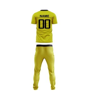 Uniforme de Cricket al Por Mayor a Precio Económico, Transpirable, de Manga Corta, Estampado, 100% Poliéster, con Nombre de Equipo Personalizado para Venta en Línea - Product Image 6