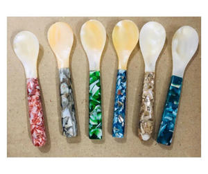 Cuillère professionnelle en forme de coquillage, conçue pour la dégustation du caviar et un service de table élégant. - Product Image 1