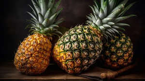 Piña Seca Suave del Río Mekong, Bocada Suave y Masticable, 12 Meses de Vida Útil, Calidad de Exportación, Suministro de Fábrica - Product Image 3