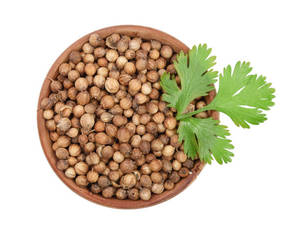 Coriandre entière indienne séchée 100% naturelle de qualité supérieure, graines aromatiques du Gujarat pour les acheteurs en gros - Product Image 4
