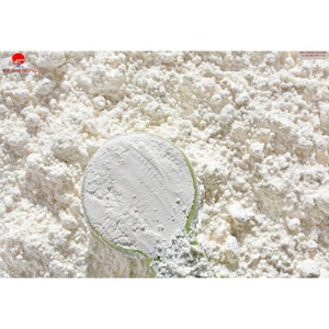 Carbonate de Calcium (CaCO3) de Haute Qualité en Poudre Blanche Pureté 99% 1250 Mesh pour l'Industrie du Caoutchouc, des Revêtements et de l'Acrylique - Product Image 6