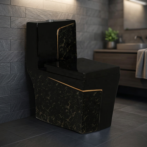 WC monobloc en céramique de luxe indien Vistaar, noir, pour usage commercial et résidentiel - Product Image 4