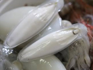 กระดูกปลาหมึกคุณภาพส่งออก ขนาด 3-9 ซม. ผู้ผลิตและผู้ส่งออกสำหรับนกและสัตว์เลี้ยงแปลกใหม่ ขนาด 25 ซม. ขึ้นไป 29 ซม. - Product Image 3