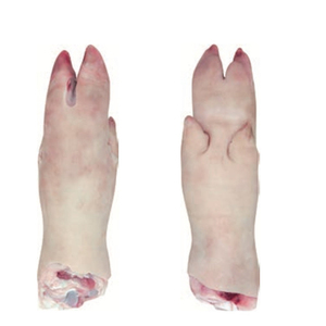 Pieds avant de porc congelés DISPONIBLES POUR LIVRAISON Pieds avant de porc congelés nettoyés et prêts à cuisiner Pieds avant de porc congelés de haute qualité - Product Image 1