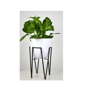 High In Demand Made In India Cute Planter <b>Pot</b> Decorative Planters <b>Large</b> Outdoor Indian Manufacture With High Quality - Product Image 4