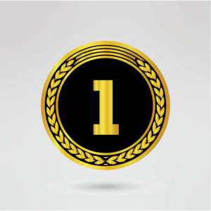Ceinture de championnat de lutte personnalisée avec logo sur quatre côtés, en laiton et en zinc, avec plaque centrale dorée, sangle noire, entièrement personnalisable - Product Image 4