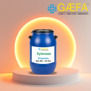 Enzyme Xylanase GAEFA BIOCHEM de Qualité Supérieure Fabriquée en Inde - Product Image 1