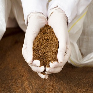 Farine de poisson en poudre 60% protéines, qualité alimentaire, durée de conservation 12-18 mois, meilleure qualité pour l'alimentation animale, fabricant sud-africain, frais et sec - Product Image 1