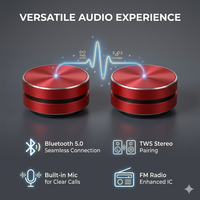 Altavoz C801 Hummingbird con Conducción Ósea y Vibración, Caja de Audio Inalámbrica que Convierte Cualquier Superficie en Altavoz, Compatible con OEM y ODM