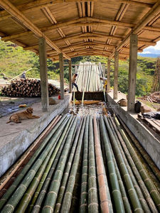 Usine Vifarmex exportation vente en gros de matières premières de poteau de bambou fournisseur mondial Vietnam - Product Image 3