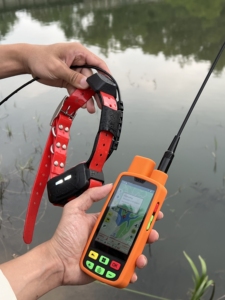 ปลอกคอติดตามสุนัข eSEEK GPS พร้อมเครื่องรับสัญญาณ 1 ตัว + ปลอกคอ 1 ตัว - ระบบระบุตำแหน่งสุนัข 4G+VHF  กันน้ำระดับ IP68 สำหรับฝึกสุนัขล่าเหยื่อสำหรับการล่าสัตว์กลางแจ้ง - Product Image 2