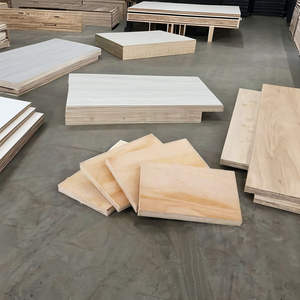 Contrachapado Fenólico de Grado DD de Vietnam al por Mayor, Chapa de Abedul para Muebles, Material de Construcción, Tablero de Contrachapado - Product Image 1