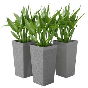 Set di 3 Vasi Conici Grigi da Esterno per Piante con Radici Profonde o Piccoli Alberi - Product Image 5