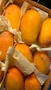 Mango Deshidratado Premium, Cortes de Fruta Tropical, Textura Suave y Masticable, Sabor Dulce a Mango, Color Dorado, Selección de Fruta Gourmet - Product Image 2