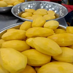 越南制造商生产的优质软芒果干100% 天然甜品 // 玛丽