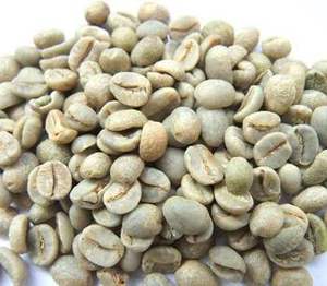 Wholesale High Quality Arabica <b>Coffee</b> <b>Beans</b> Unroasted Natural Process S14 S16 S18 Grade A Vietnam origin bulk supply - Product Image 2
