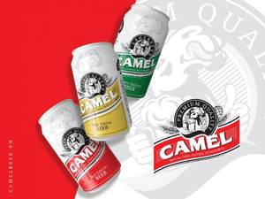 Cerveza Camel de la Mejor Calidad, 330 ml x 24 Latas en Venta - Compre la Mejor Cerveza en Lata, Muestras Gratis Disponibles, Cervecería de Vietnam, Bebidas Alcohólicas - Product Image 6