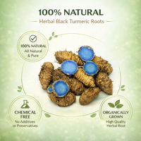Cúrcuma Negra Kali Haldi Fresca de Exportación, Raíz Herbal de Curcuma Caesia de KAMADHEI AGRO FARM para Bienestar y Tradiciones Espirituales