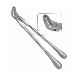 Outil dentaire équin, forceps pour vétérinaires, pour la chirurgie buccale des chevaux, extraction des molaires - Product Image 2
