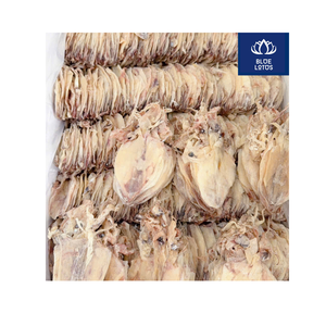 Calamars séchés de qualité supérieure, durables et disponibles – Meilleures ventes, à essayer absolument – Fruits de mer purs et transformés – Prix de gros pour l'exportation en vrac - Product Image 5