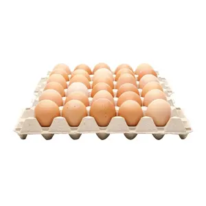 Embalaje de alta calidad 100% huevo de gallina fresco natural de alta calidad a la venta
