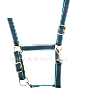 Cabestros de cuerda de nailon ligeros personalizados de alta calidad duraderos y resistentes a la intemperie al por mayor PP inglés sillín caballo Halter - Product Image 4