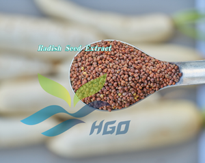 Suministro Directo de Fábrica HGO de Extracto Puro y Natural de Semilla de Rábano, Grado Alimenticio, Especificación 10:1, Extracto a Granel de Alta Calidad - Product Image 2